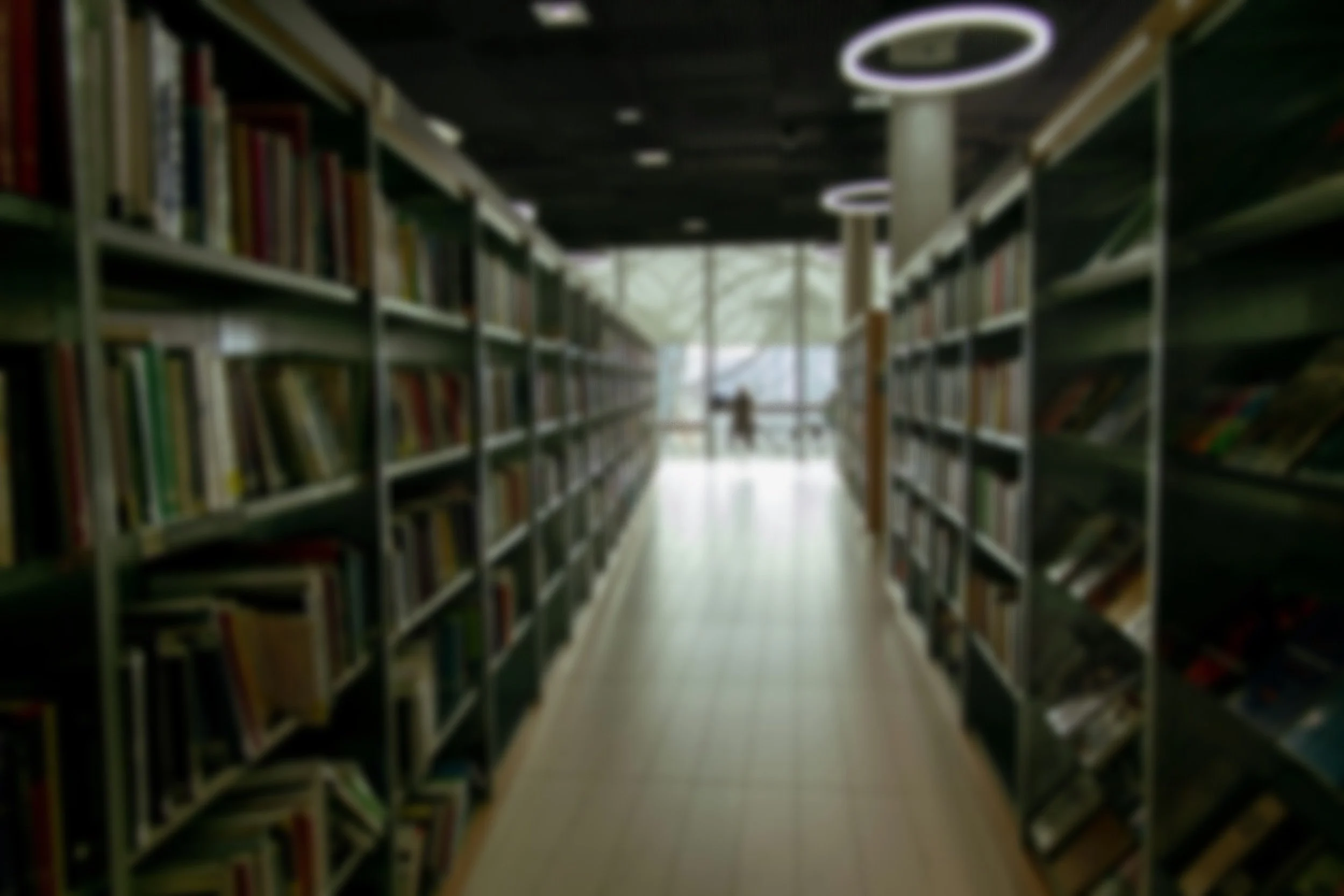 Eleni Christodoulou Academic background